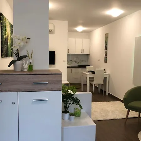 Апартаменты Luxury Central Studio Under The Castle Любляна